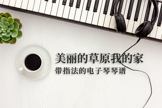 美丽的草原我的家(带指法）