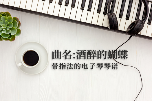 酒醉的蝴蝶(带指法）