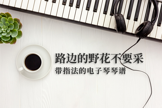 路边的野花不要采(带指法）