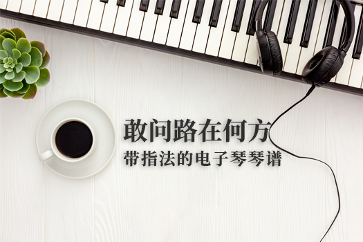 敢问路在何方(带指法）