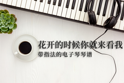 花开的时候你就来看我(带指法）