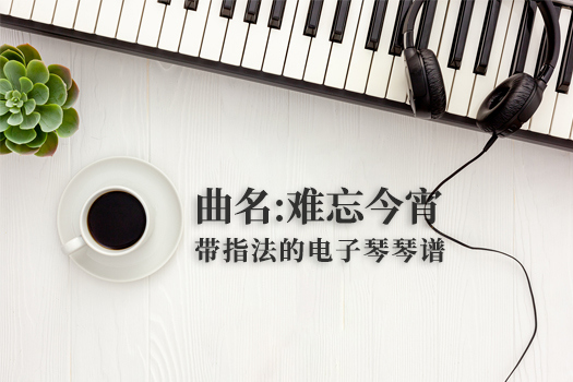难忘今宵(带指法）