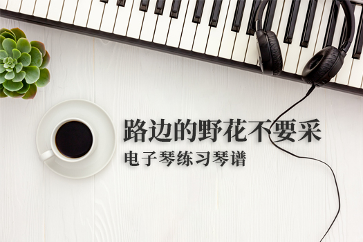 路边的野花不要采