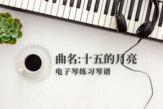 十五的月亮